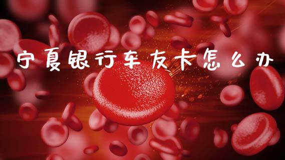 宁夏银行车友卡怎么办_https://wap.lcjysmgs.com_原油期货_第1张