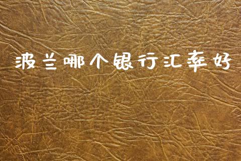 波兰哪个银行汇率好_https://wap.lcjysmgs.com_元宇宙_第1张