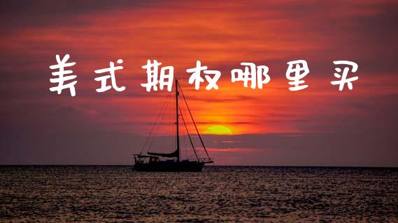 美式期权哪里买_https://wap.lcjysmgs.com_金融交易_第1张