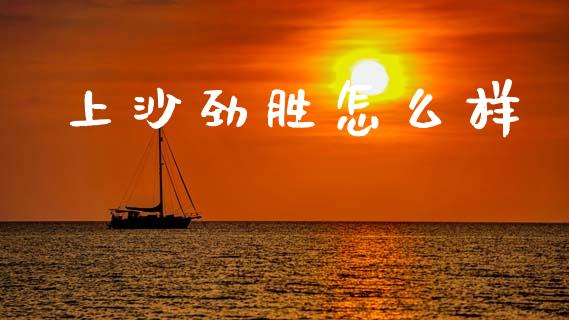 上沙劲胜怎么样_https://wap.lcjysmgs.com_债券基金_第1张