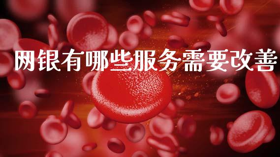 网银有哪些服务需要改善_https://wap.lcjysmgs.com_元宇宙_第1张