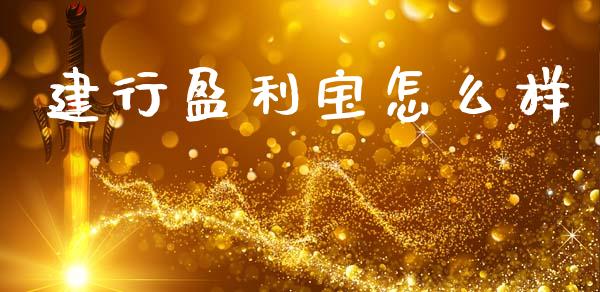 建行盈利宝怎么样_https://wap.lcjysmgs.com_金融交易_第1张