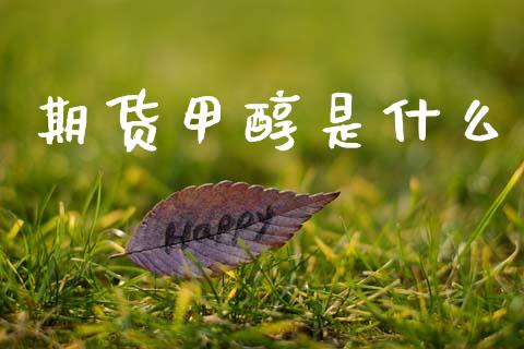 期货甲醇是什么_https://wap.lcjysmgs.com_原油期货_第1张