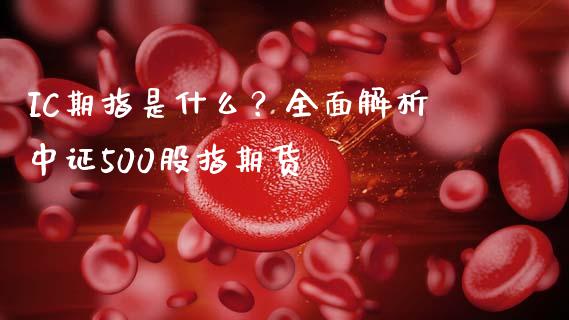 IC期指是什么？全面解析中证500股指期货_https://wap.lcjysmgs.com_债券基金_第1张