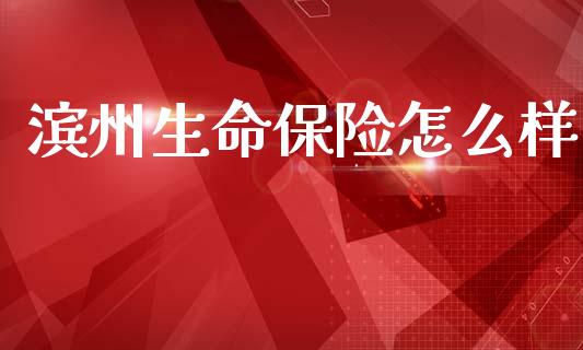 滨州生命保险怎么样_https://wap.lcjysmgs.com_元宇宙_第1张
