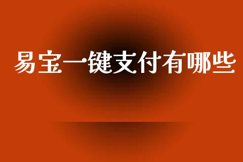 易宝一键支付有哪些_https://wap.lcjysmgs.com_元宇宙_第1张