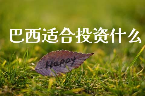 巴西适合投资什么_https://wap.lcjysmgs.com_原油期货_第1张