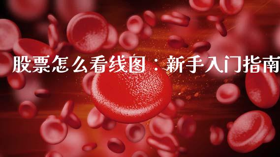 股票怎么看线图:新手入门指南_元宇宙_第1张_金融交易_元宇宙_原油期货_债券基金 股票怎么看线图:新手入门指南_https://wap.lcjysmgs.com_元宇宙_第1张