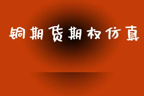 铜期货期权仿真_https://wap.lcjysmgs.com_债券基金_第1张
