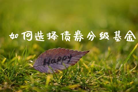 如何选择债券分级基金_https://wap.lcjysmgs.com_金融交易_第1张