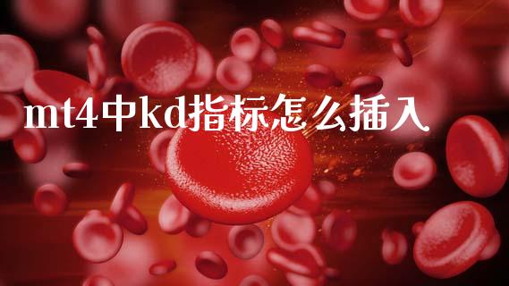 mt4中kd指标怎么插入_https://wap.lcjysmgs.com_元宇宙_第1张