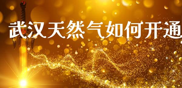武汉天然气如何开通_https://wap.lcjysmgs.com_原油期货_第1张