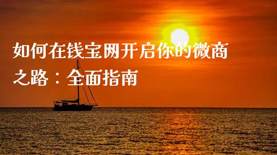如何在钱宝网开启你的微商之路：全面指南_https://wap.lcjysmgs.com_元宇宙_第1张