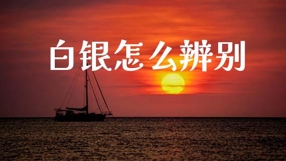 白银怎么辨别_https://wap.lcjysmgs.com_债券基金_第1张