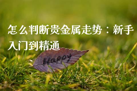 怎么判断贵金属走势：新手入门到精通_https://wap.lcjysmgs.com_原油期货_第1张