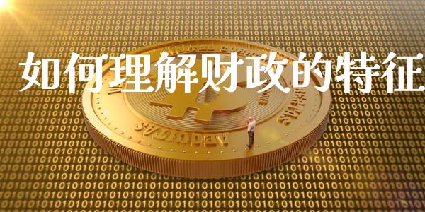 如何理解财政的特征_https://wap.lcjysmgs.com_债券基金_第1张
