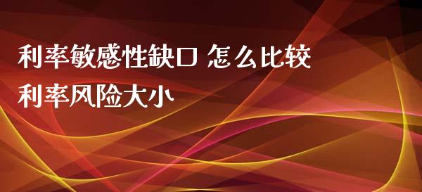 利率敏感性缺口 怎么比较利率风险大小_https://wap.lcjysmgs.com_原油期货_第1张
