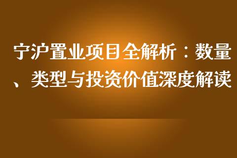 宁沪置业项目全解析：数量、类型与投资价值深度解读_https://wap.lcjysmgs.com_元宇宙_第1张