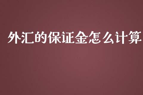 外汇的保证金怎么计算_https://wap.lcjysmgs.com_金融交易_第1张
