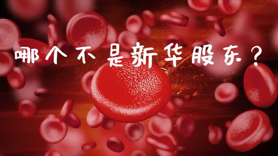 哪个不是新华股东？_https://wap.lcjysmgs.com_金融交易_第1张