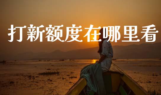 打新额度在哪里看_https://wap.lcjysmgs.com_元宇宙_第1张