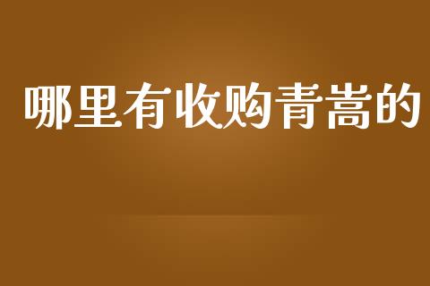 哪里有收购青嵩的_https://wap.lcjysmgs.com_元宇宙_第1张