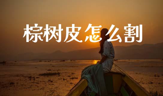 棕树皮怎么割_https://wap.lcjysmgs.com_金融交易_第1张