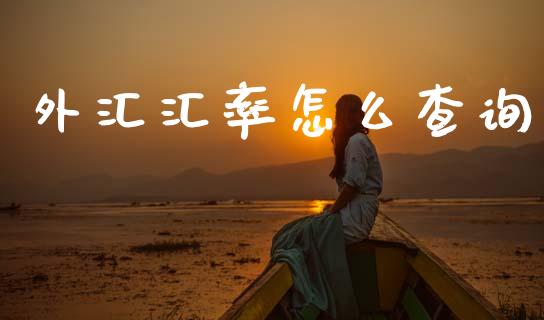 外汇汇率怎么查询_https://wap.lcjysmgs.com_金融交易_第1张