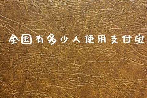 全国有多少人使用支付宝_https://wap.lcjysmgs.com_金融交易_第1张