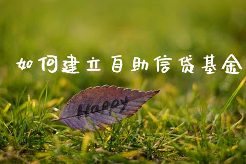 如何建立自助信贷基金_https://wap.lcjysmgs.com_元宇宙_第1张