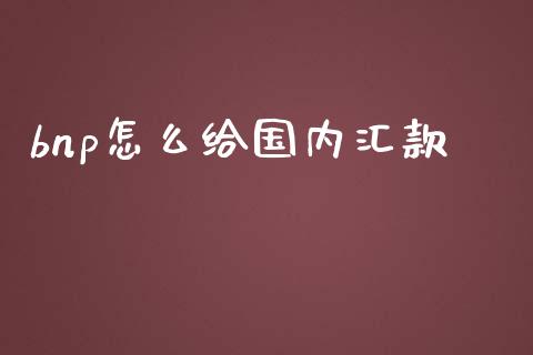 bnp怎么给国内汇款_https://wap.lcjysmgs.com_债券基金_第1张