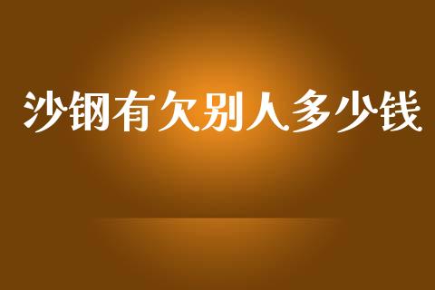 沙钢有欠别人多少钱_https://wap.lcjysmgs.com_金融交易_第1张