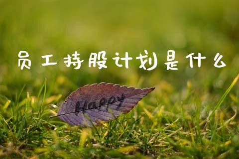 员工持股计划是什么_https://wap.lcjysmgs.com_金融交易_第1张