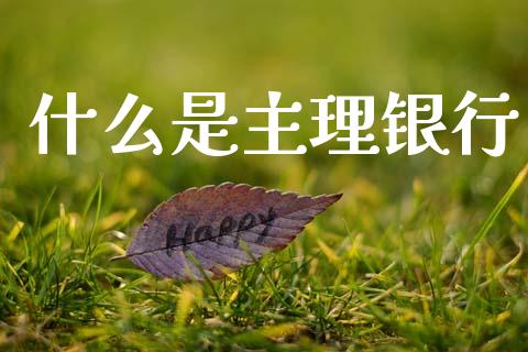 什么是主理银行_https://wap.lcjysmgs.com_金融交易_第1张