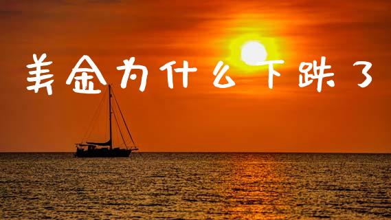 美金为什么下跌了_https://wap.lcjysmgs.com_元宇宙_第1张