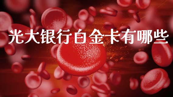 光大银行白金卡有哪些_https://wap.lcjysmgs.com_金融交易_第1张