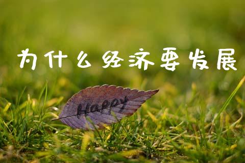 为什么经济要发展_https://wap.lcjysmgs.com_元宇宙_第1张