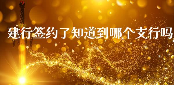 建行签约了知道到哪个支行吗_https://wap.lcjysmgs.com_金融交易_第1张