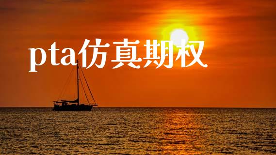 pta仿真期权_https://wap.lcjysmgs.com_元宇宙_第1张