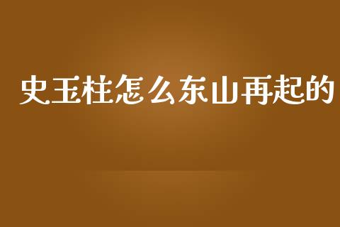 史玉柱怎么东山再起的_https://wap.lcjysmgs.com_原油期货_第1张