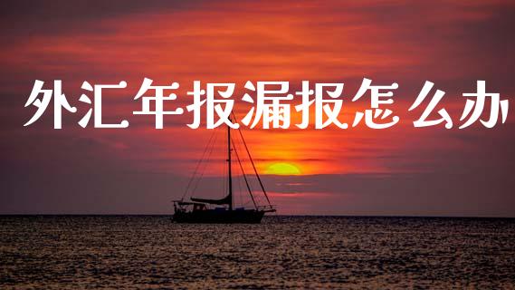 外汇年报漏报怎么办_https://wap.lcjysmgs.com_原油期货_第1张