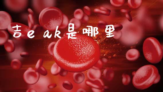吉e ak是哪里_https://wap.lcjysmgs.com_金融交易_第1张
