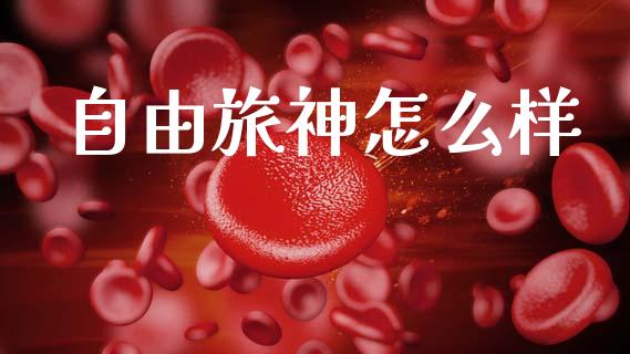 自由旅神怎么样_https://wap.lcjysmgs.com_元宇宙_第1张