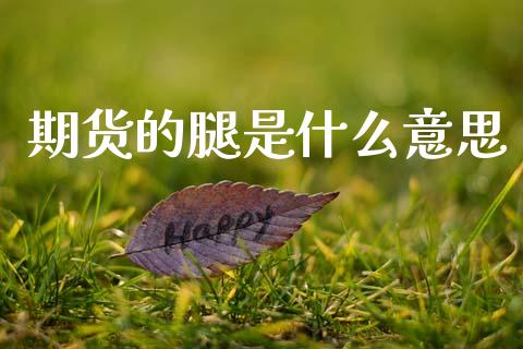 期货的腿是什么意思_https://wap.lcjysmgs.com_元宇宙_第1张