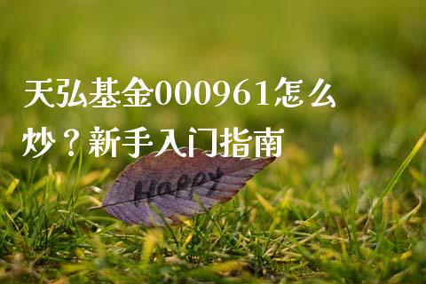 天弘基金000961怎么炒？新手入门指南_https://wap.lcjysmgs.com_金融交易_第1张