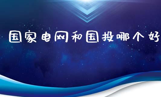 国家电网和国投哪个好_https://wap.lcjysmgs.com_金融交易_第1张