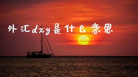 外汇dxy是什么意思_https://wap.lcjysmgs.com_债券基金_第1张