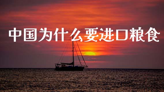 中国为什么要进口粮食_https://wap.lcjysmgs.com_金融交易_第1张