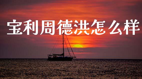 宝利周德洪怎么样_https://wap.lcjysmgs.com_债券基金_第1张