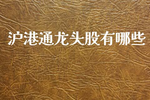 沪港通龙头股有哪些_https://wap.lcjysmgs.com_金融交易_第1张